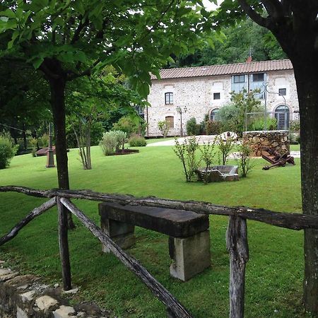Lady Frantoio Toscano Corsanico-Bargecchia ภายนอก รูปภาพ