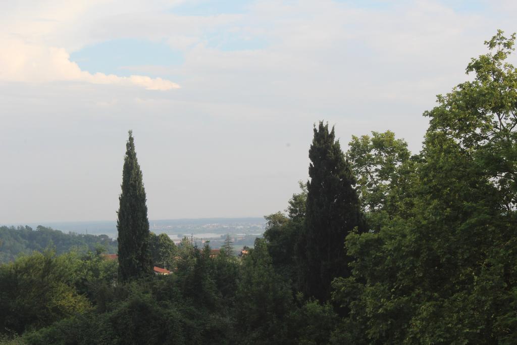 Lady Frantoio Toscano Corsanico-Bargecchia ภายนอก รูปภาพ