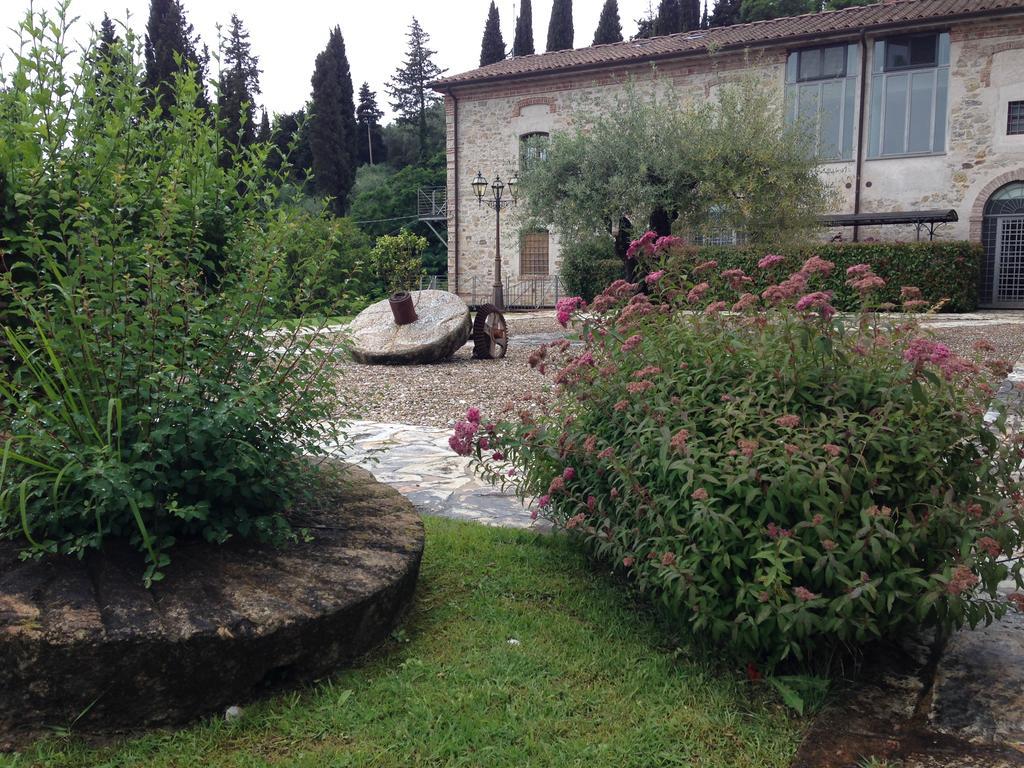 Lady Frantoio Toscano Corsanico-Bargecchia ภายนอก รูปภาพ